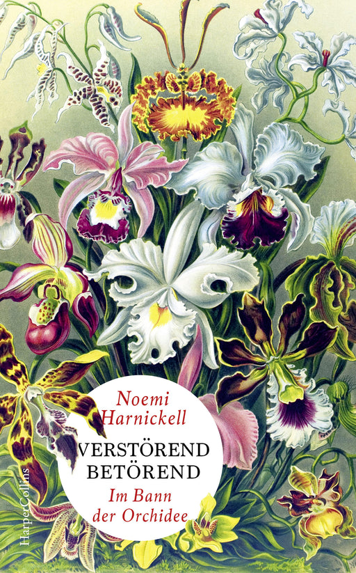 Verstörend betörend – Im Bann der Orchidee-Verlagsgruppe HarperCollins Deutschland GmbH